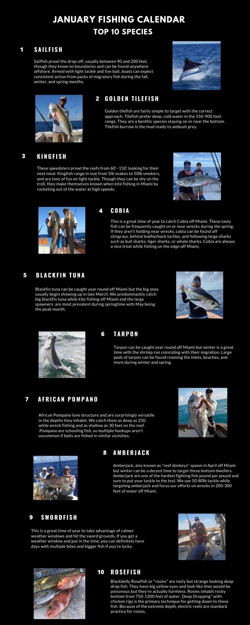 Miami Fishing Calendar by Month