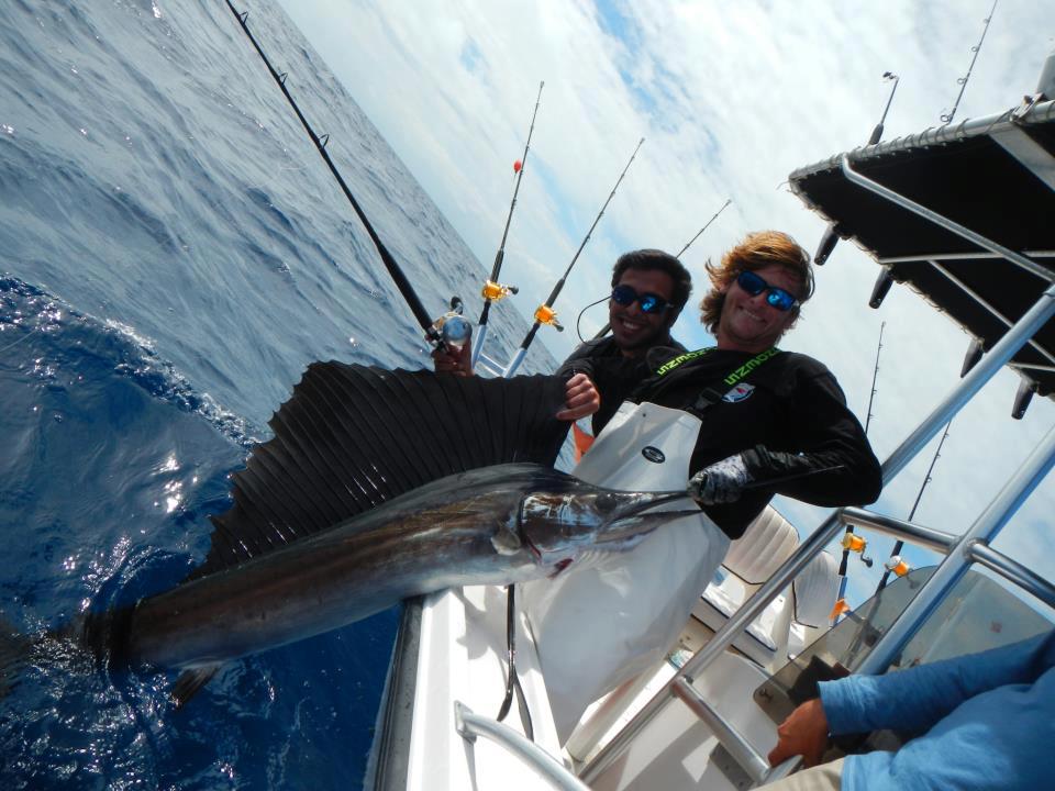 Big Sailfish