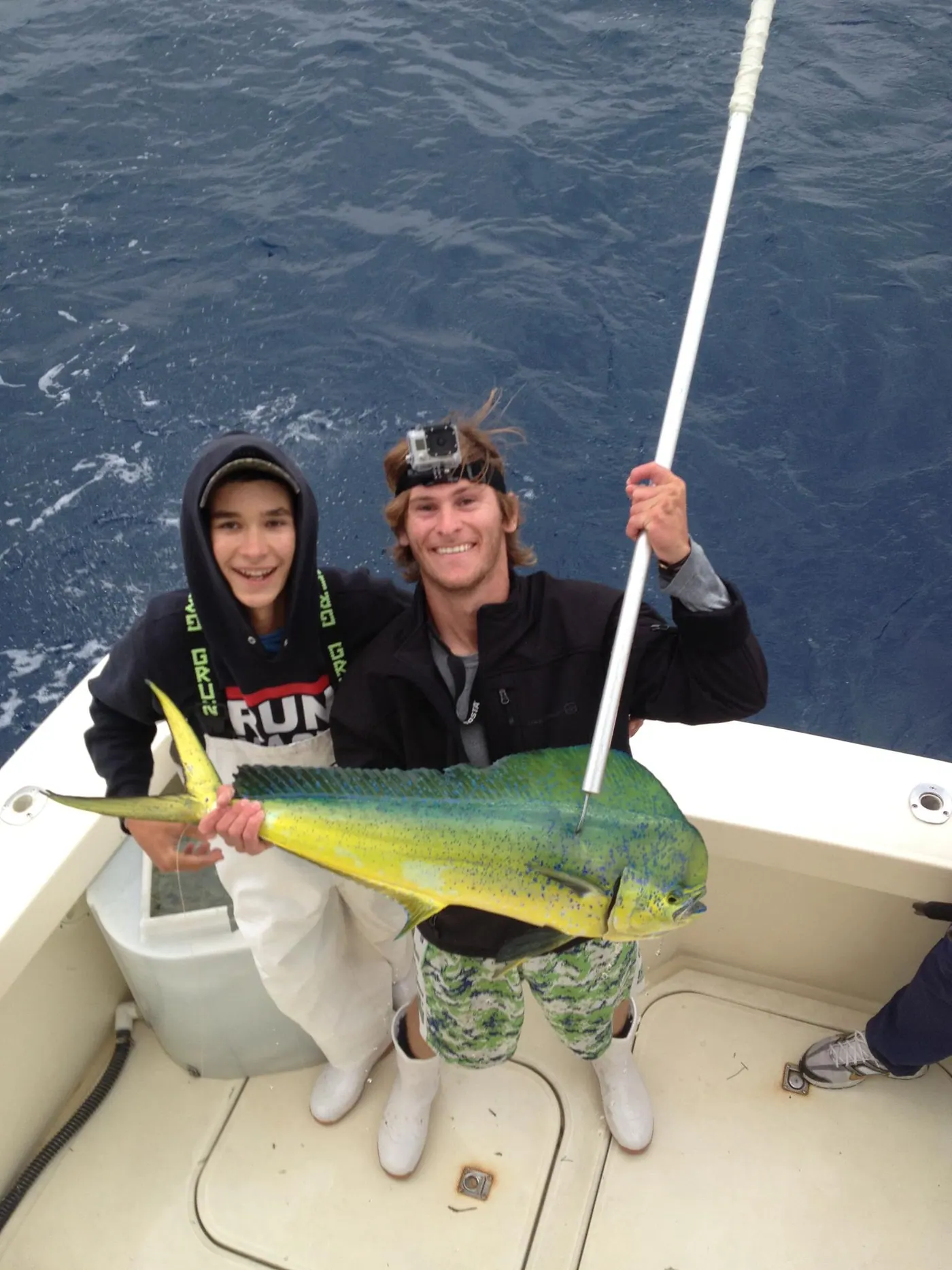 Dolphin off the Kites in Miami