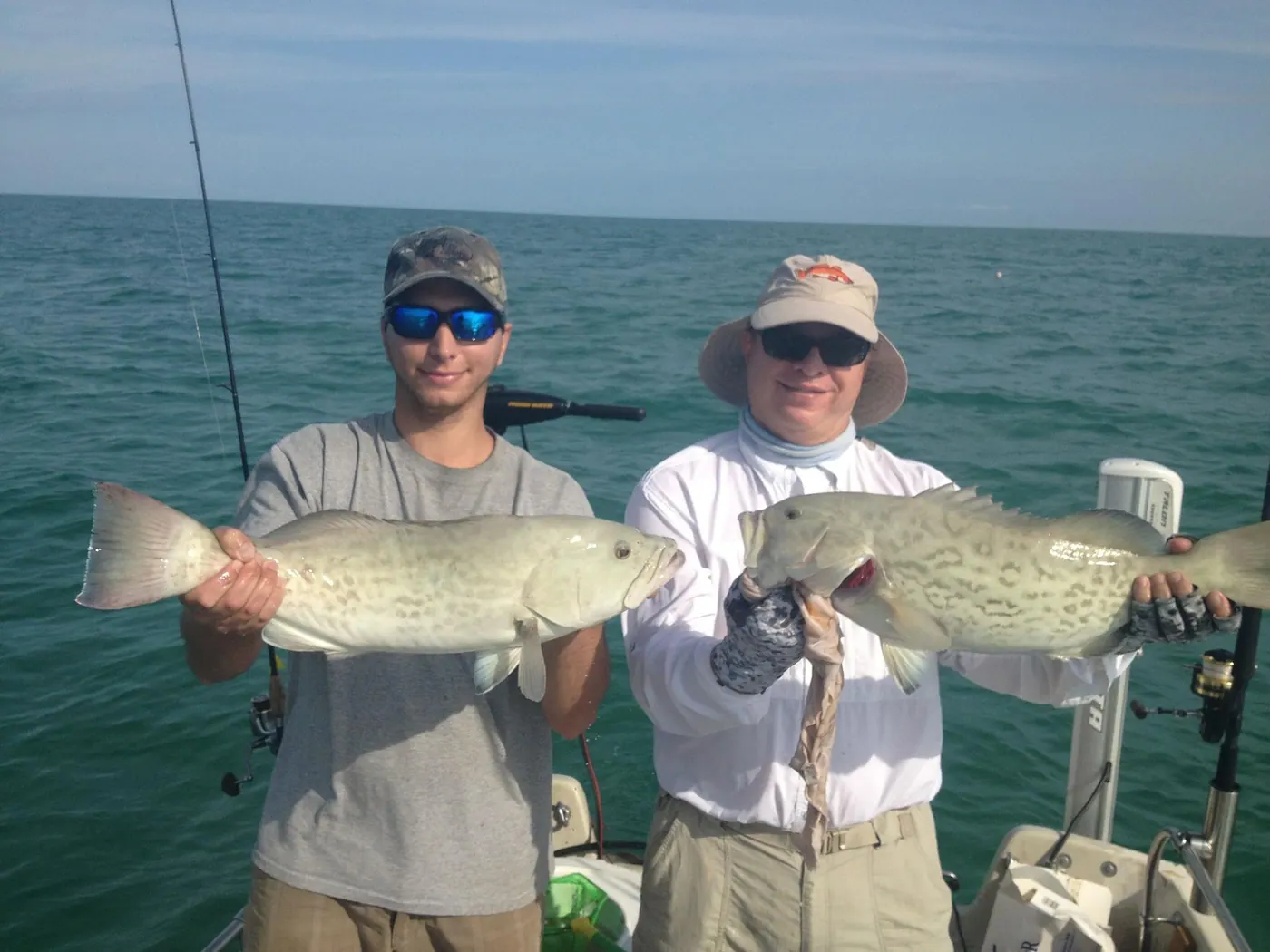 Gag Grouper Offshore FLamingo