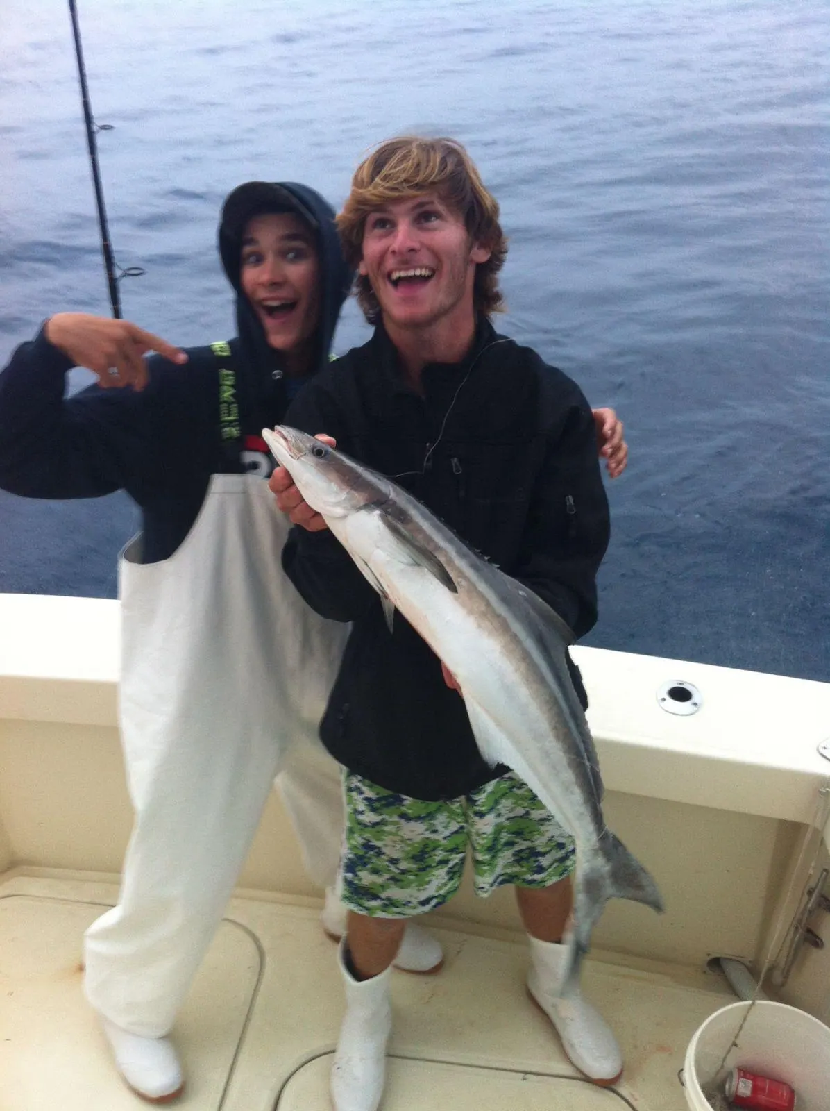 Cobia off Miami