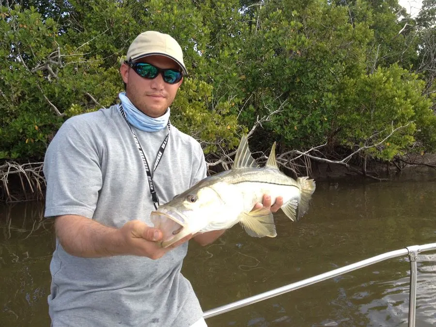 Flamingo Snook