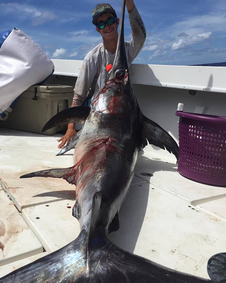 Daytime Swordfish