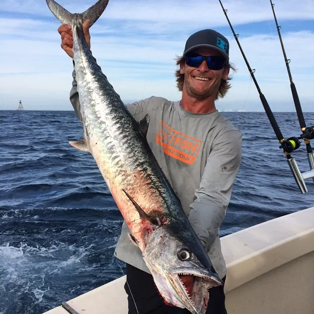 Big Kingfish off Miami