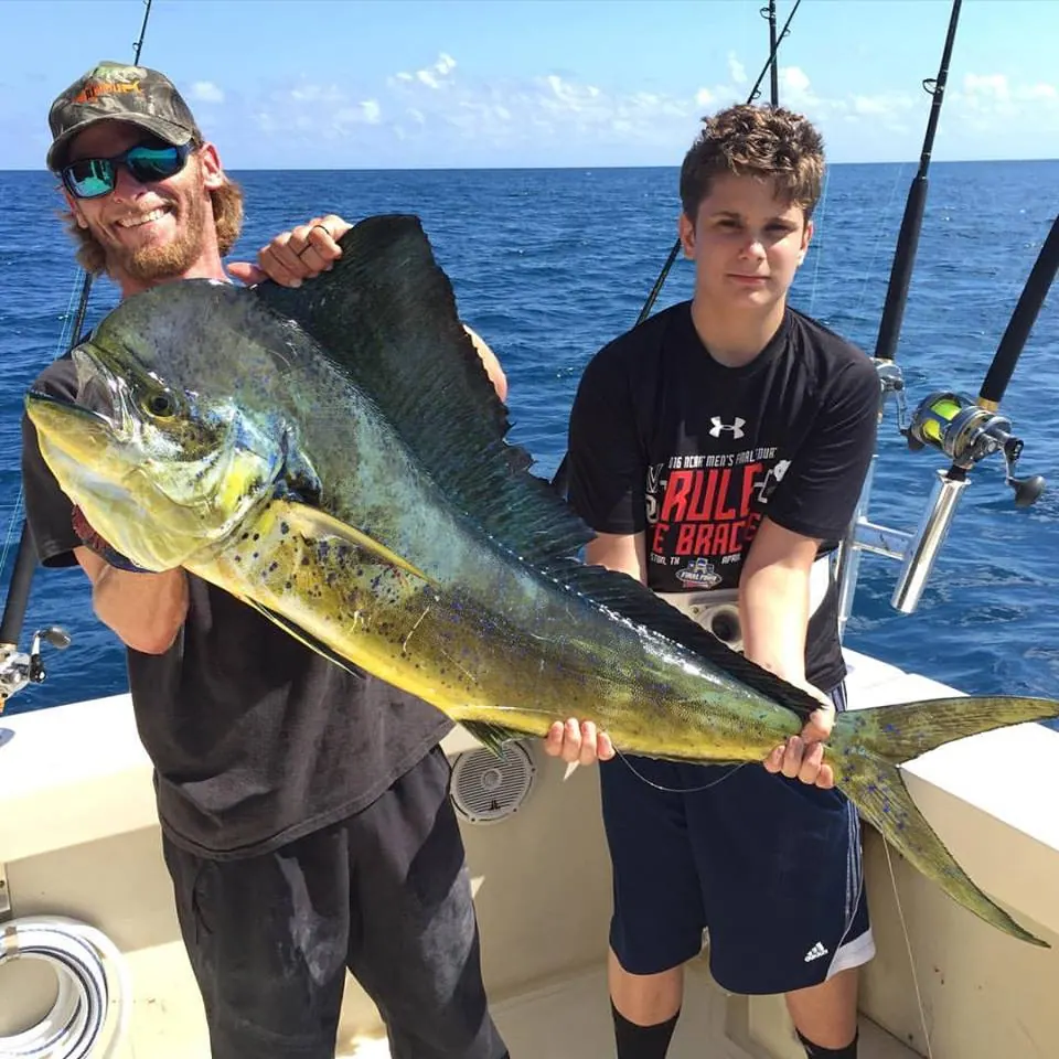 Mahi off Miami