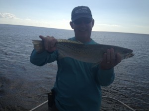 Seatrout in Flamingo