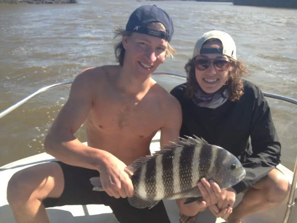 Big Sheepshead in Flamingo