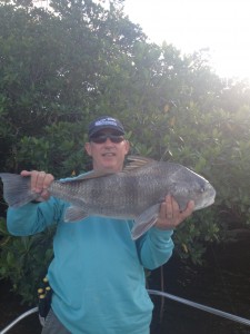 Black Drum