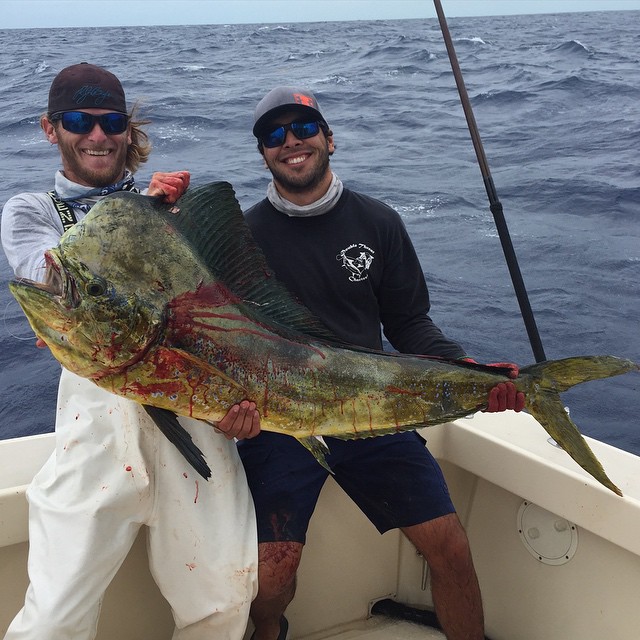 Amberjack in Miami