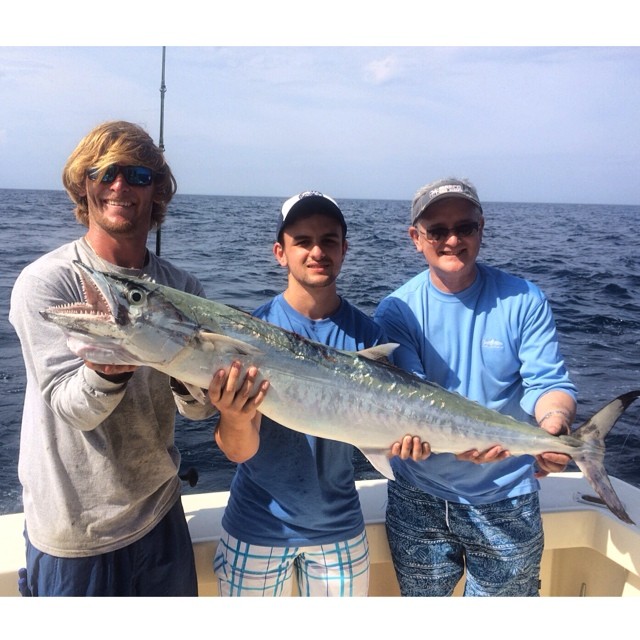 Kingfish Miami