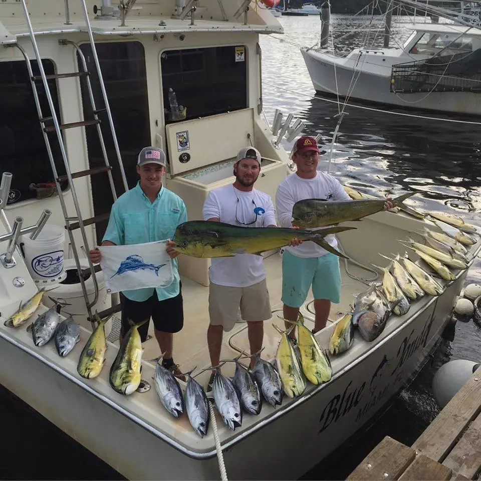 mixed bag fishing miami