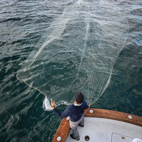 Action aboard the Double Threat on a Miami fishing charter