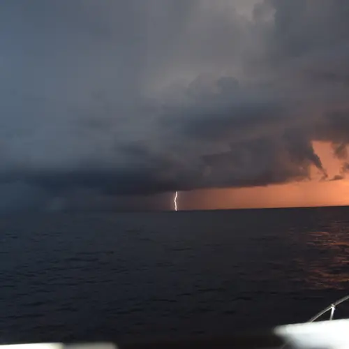 Action aboard the Double Threat on a Miami fishing charter