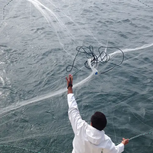Action aboard the Double Threat on a Miami fishing charter