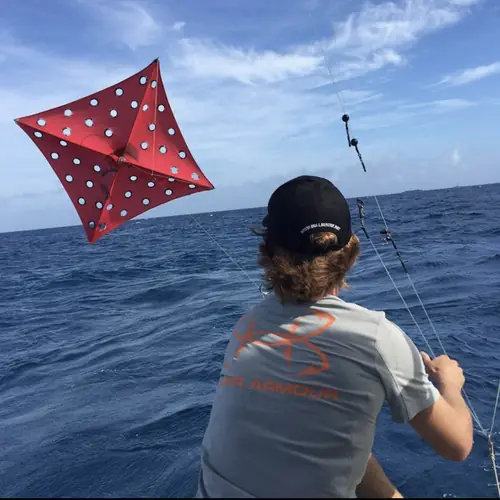 Action aboard the Double Threat on a Miami fishing charter