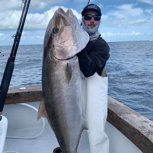 An Amberjack caught aboard the Double Threat on a Miami fishing charter