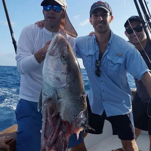 An Amberjack caught aboard the Double Threat on a Miami fishing charter