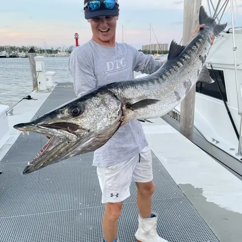 A Barracuda caught aboard the Double Threat on a Miami fishing charter