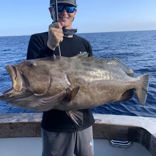 A Black Grouper caught aboard the Double Threat on a Miami fishing charter