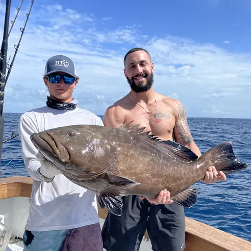 A Black Grouper caught aboard the Double Threat on a Miami fishing charter