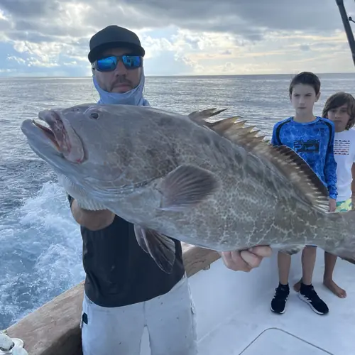 A Black Grouper caught aboard the Double Threat on a Miami fishing charter