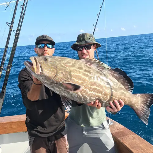 A Black Grouper caught aboard the Double Threat on a Miami fishing charter