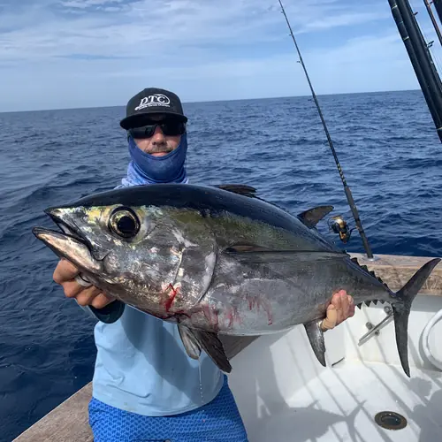 A Blackfin Tuna caught aboard the Double Threat on a Miami fishing charter