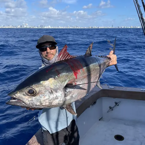 A Blackfin Tuna caught aboard the Double Threat on a Miami fishing charter