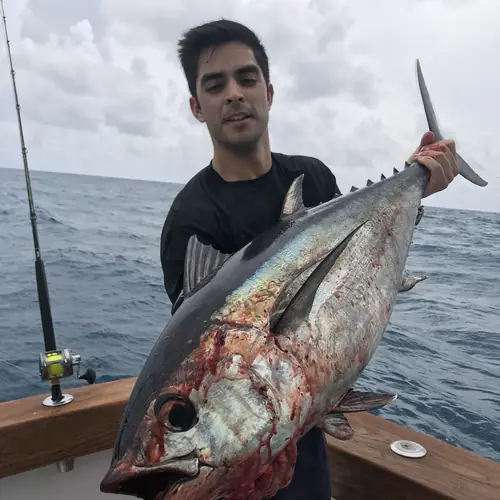 A Blackfin Tuna caught aboard the Double Threat on a Miami fishing charter