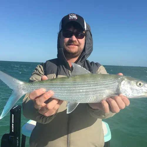 A Bonefish caught aboard the Double Threat on a Miami fishing charter
