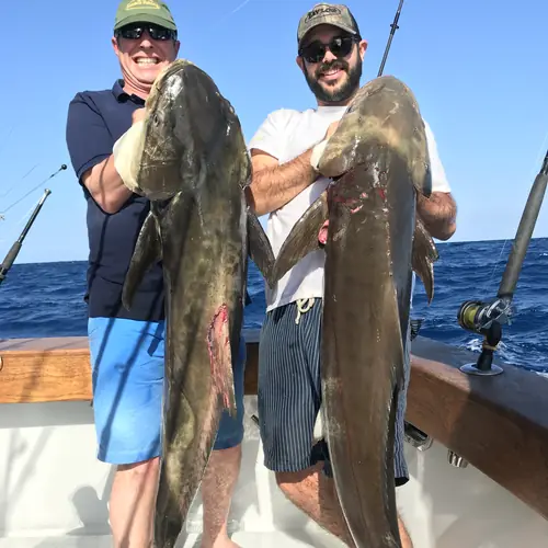 A Cobia caught aboard the Double Threat on a Miami fishing charter