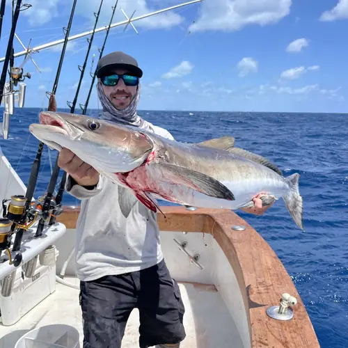 A Cobia caught aboard the Double Threat on a Miami fishing charter