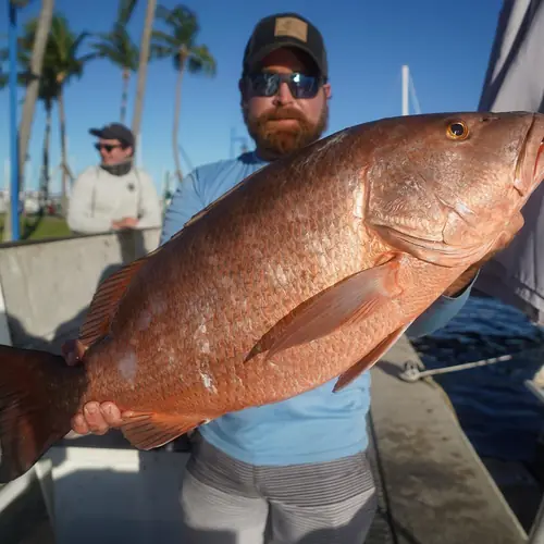 A Cubera Snapper caught aboard the Double Threat on a Miami fishing charter