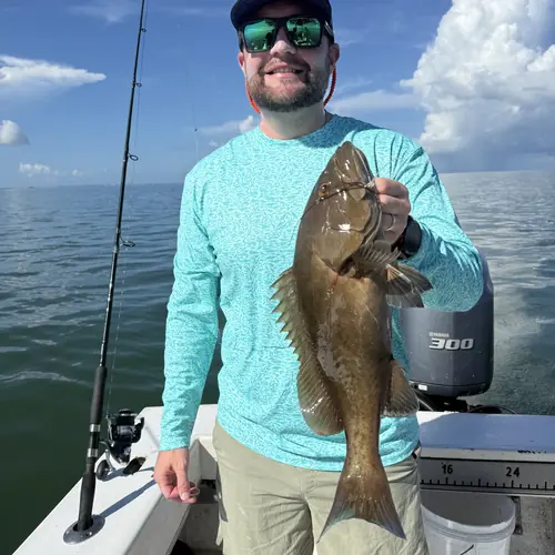 A Gag Grouper caught aboard the Double Threat on a Miami fishing charter