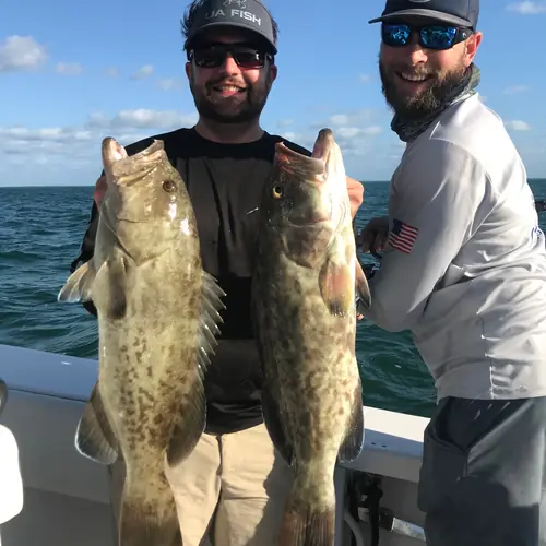 A Gag Grouper caught aboard the Double Threat on a Miami fishing charter