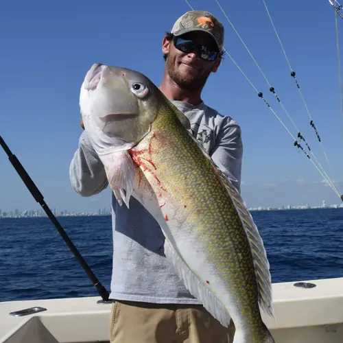 A Golden Tilefish caught aboard the Double Threat on a Miami fishing charter