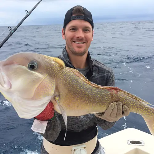 A Golden Tilefish caught aboard the Double Threat on a Miami fishing charter