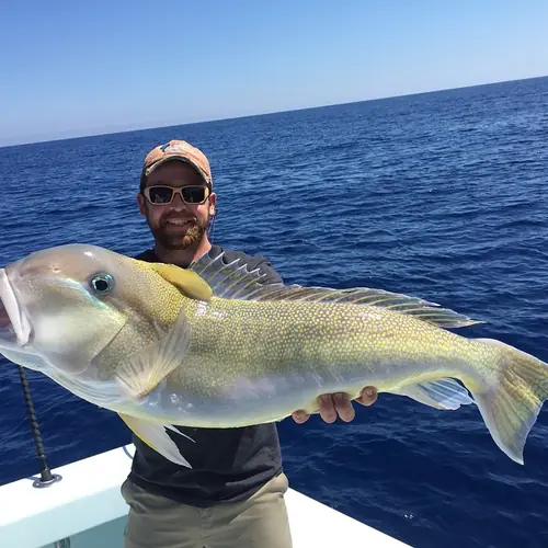 A Golden Tilefish caught aboard the Double Threat on a Miami fishing charter