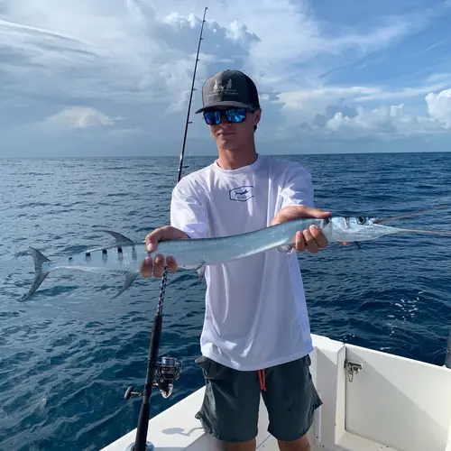 A Houndfish caught aboard the Double Threat on a Miami fishing charter