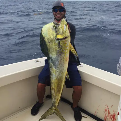 A Mahi caught aboard the Double Threat on a Miami fishing charter