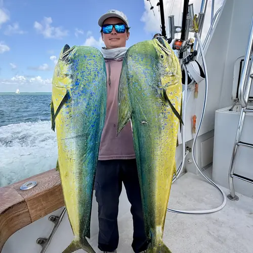 A Mahi caught aboard the Double Threat on a Miami fishing charter