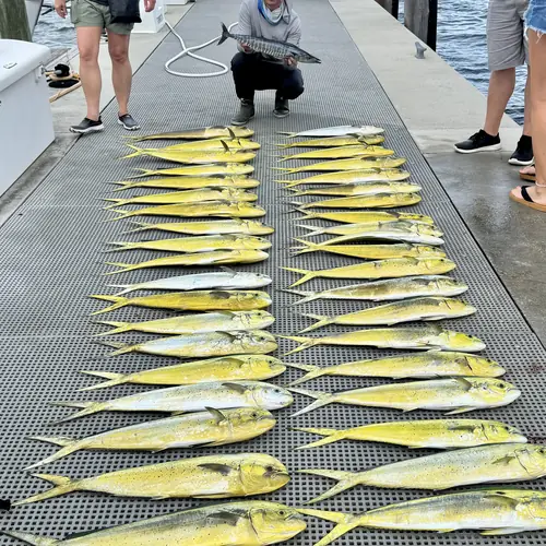 A Mahi caught aboard the Double Threat on a Miami fishing charter