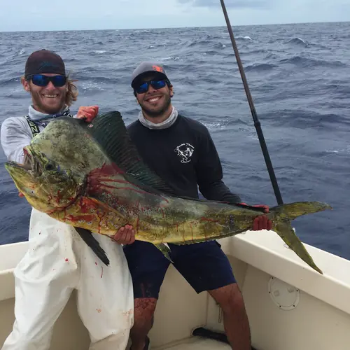 A Mahi caught aboard the Double Threat on a Miami fishing charter