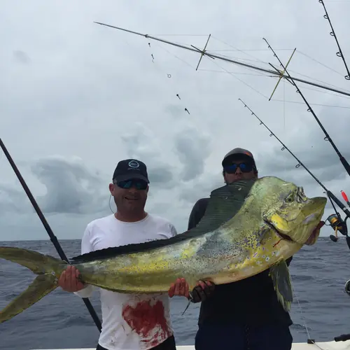 A Mahi caught aboard the Double Threat on a Miami fishing charter