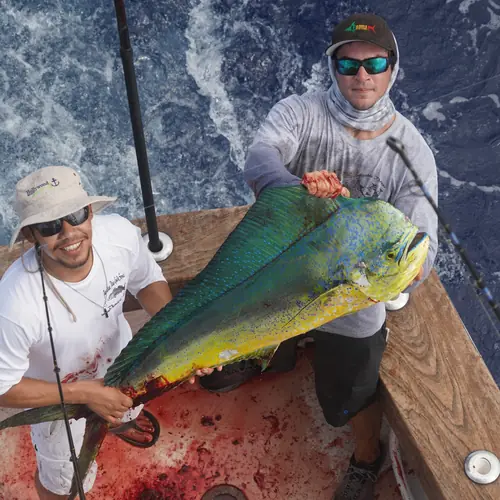 A Mahi caught aboard the Double Threat on a Miami fishing charter