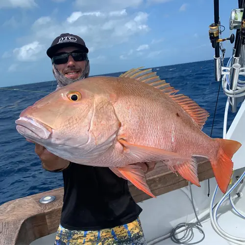 A Mutton Snapper caught aboard the Double Threat on a Miami fishing charter