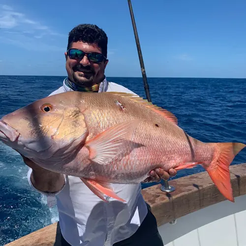 A Mutton Snapper caught aboard the Double Threat on a Miami fishing charter