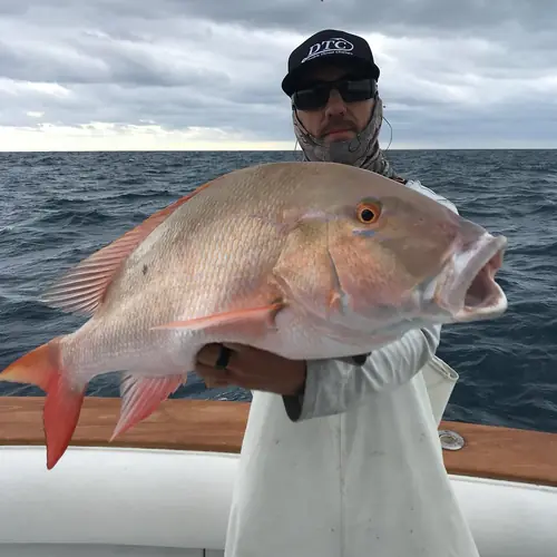A Mutton Snapper caught aboard the Double Threat on a Miami fishing charter