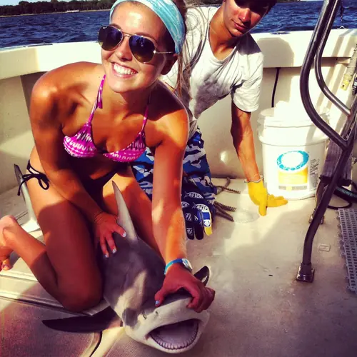 A Shark caught aboard the Double Threat on a Miami fishing charter