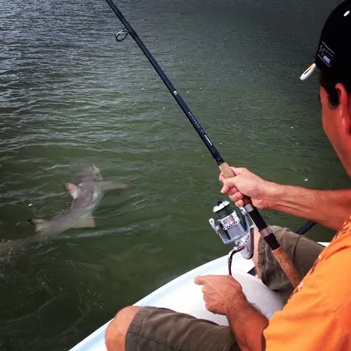 A Shark caught aboard the Double Threat on a Miami fishing charter